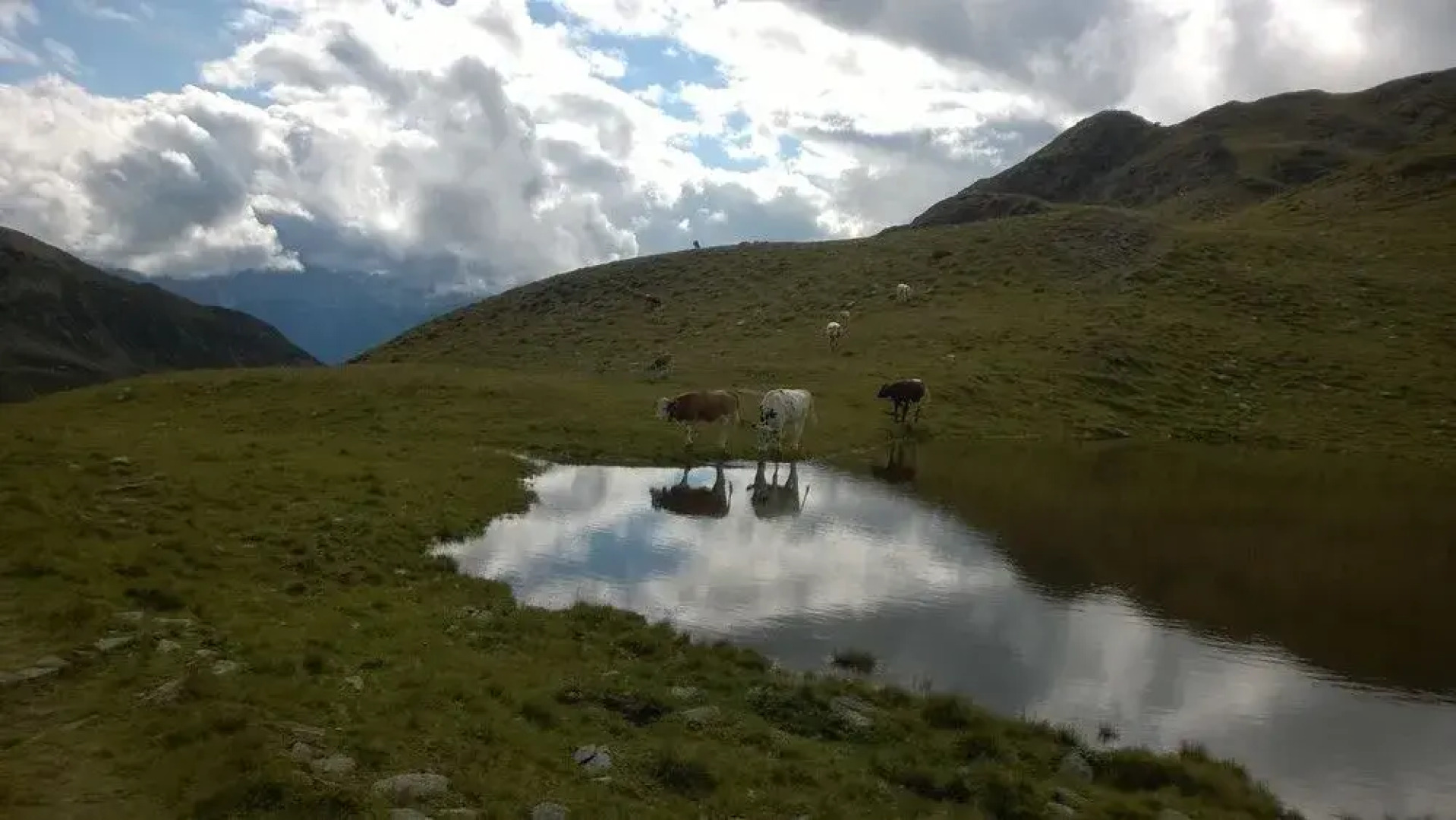 Ariston Dolomiti Residence