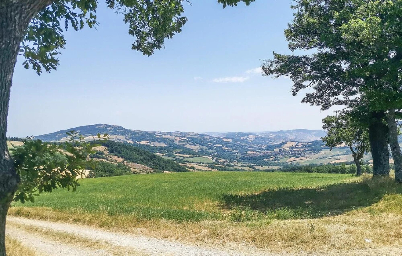 Stunning Apartment in Villagrande di Monteco With 1 Bedrooms