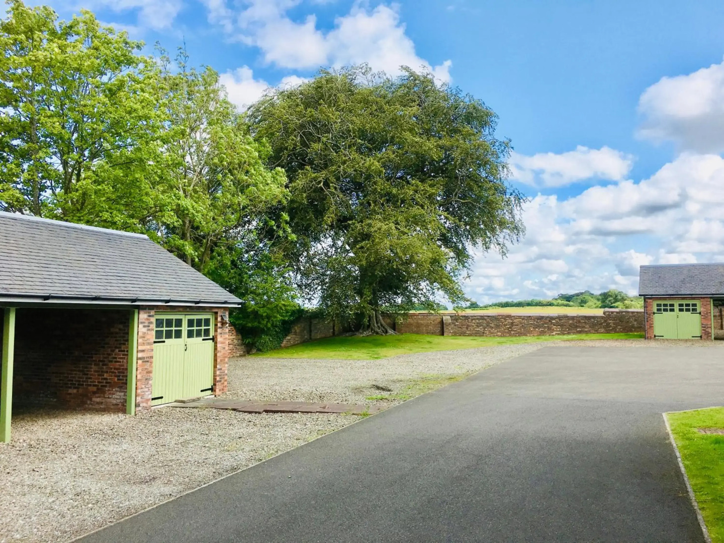 The Little Beech Tree