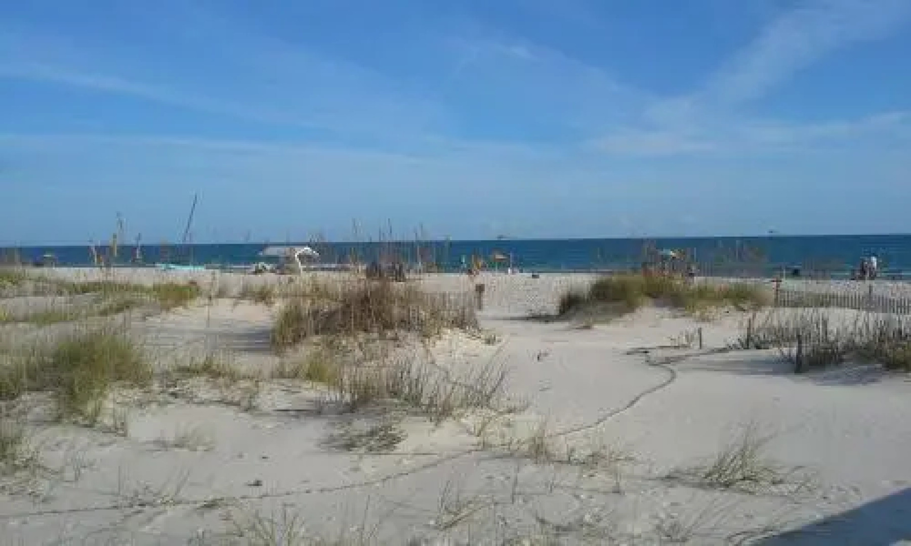 Shellchase by RedAwning