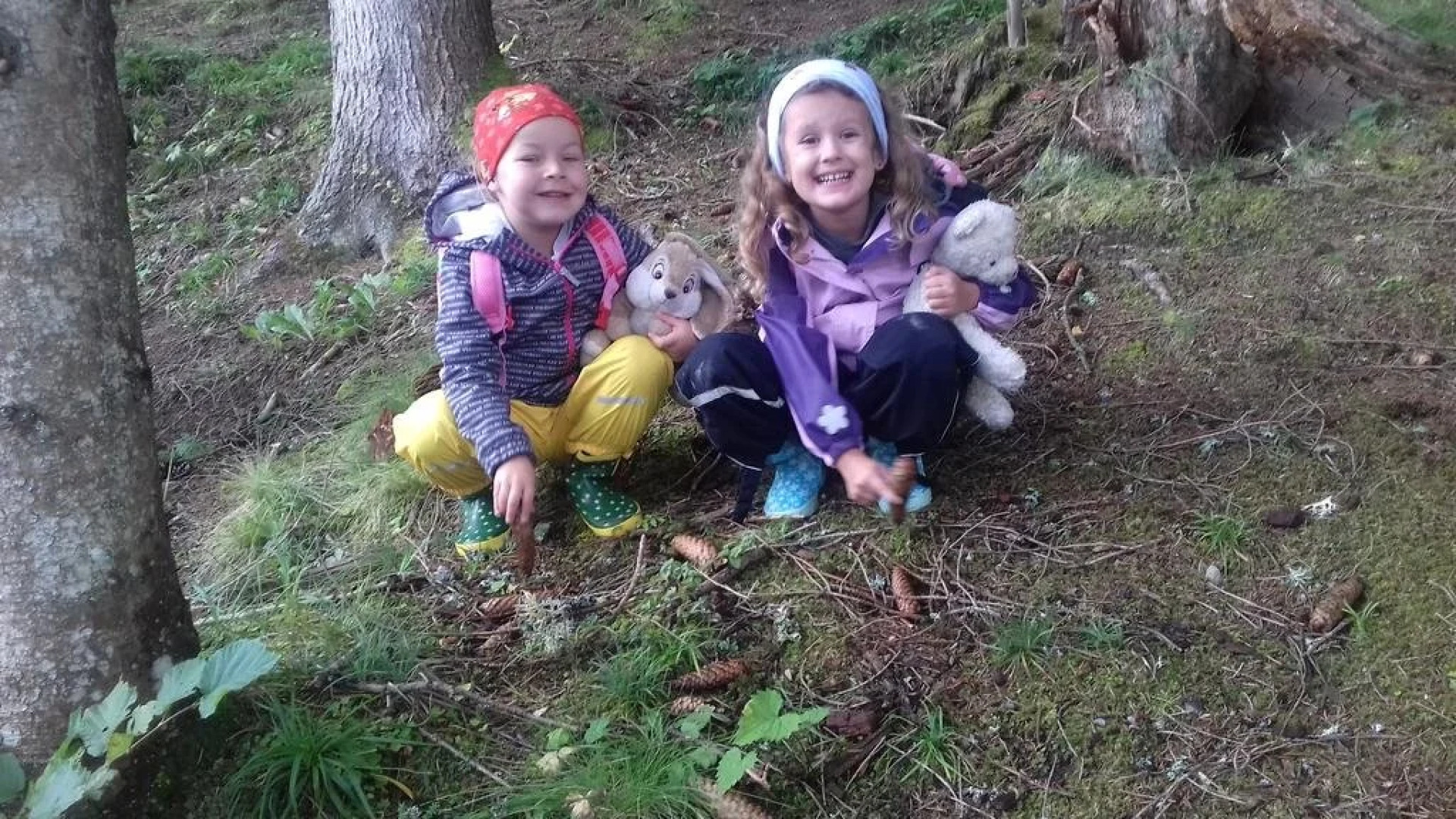 Urlaub am Bauernhof Gänser