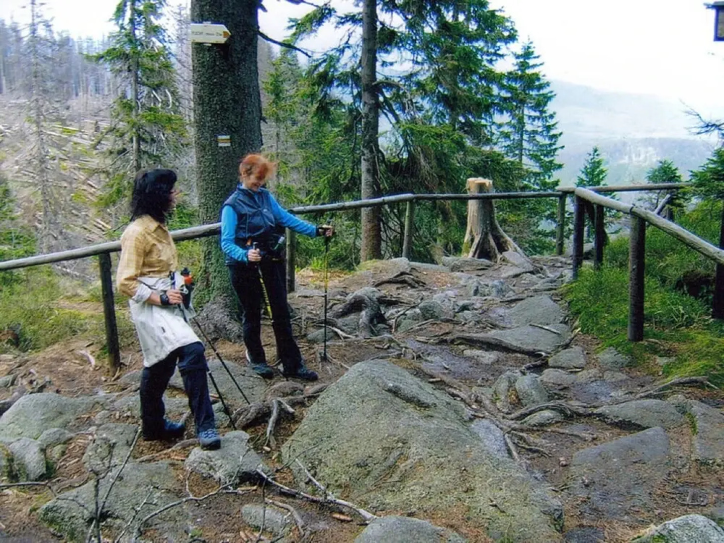 Pleasant Apartment in Bavaria