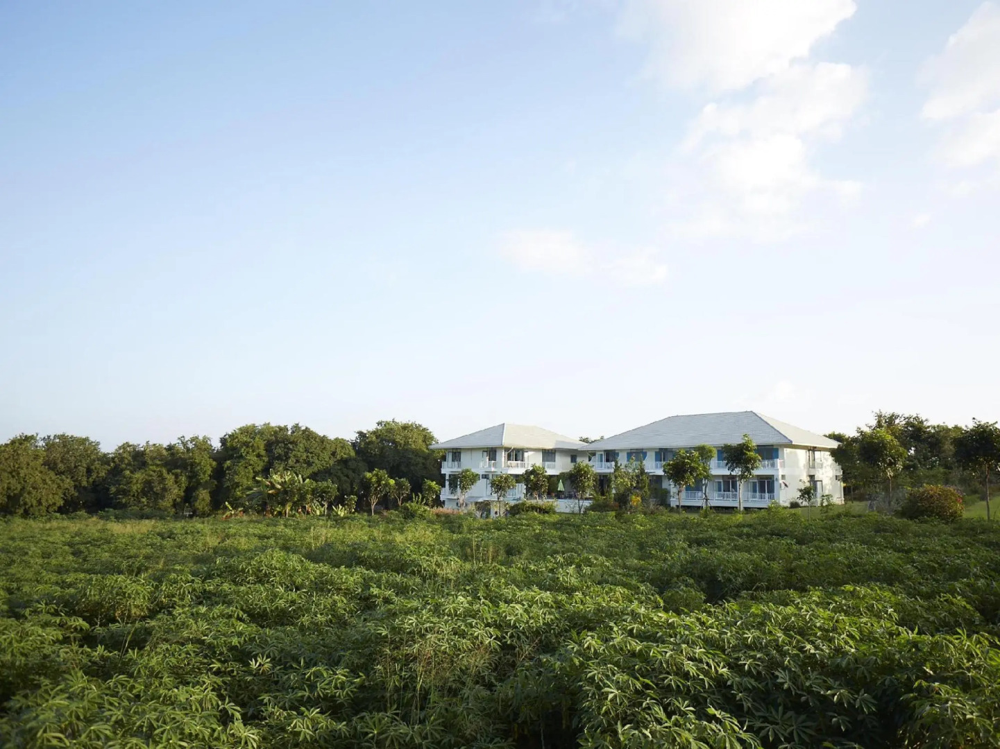 Santosha- Health&Lifestyle Resort