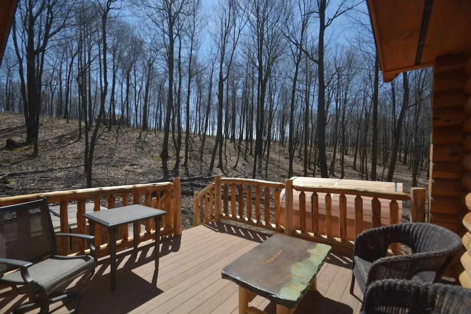 Big Log Lodge