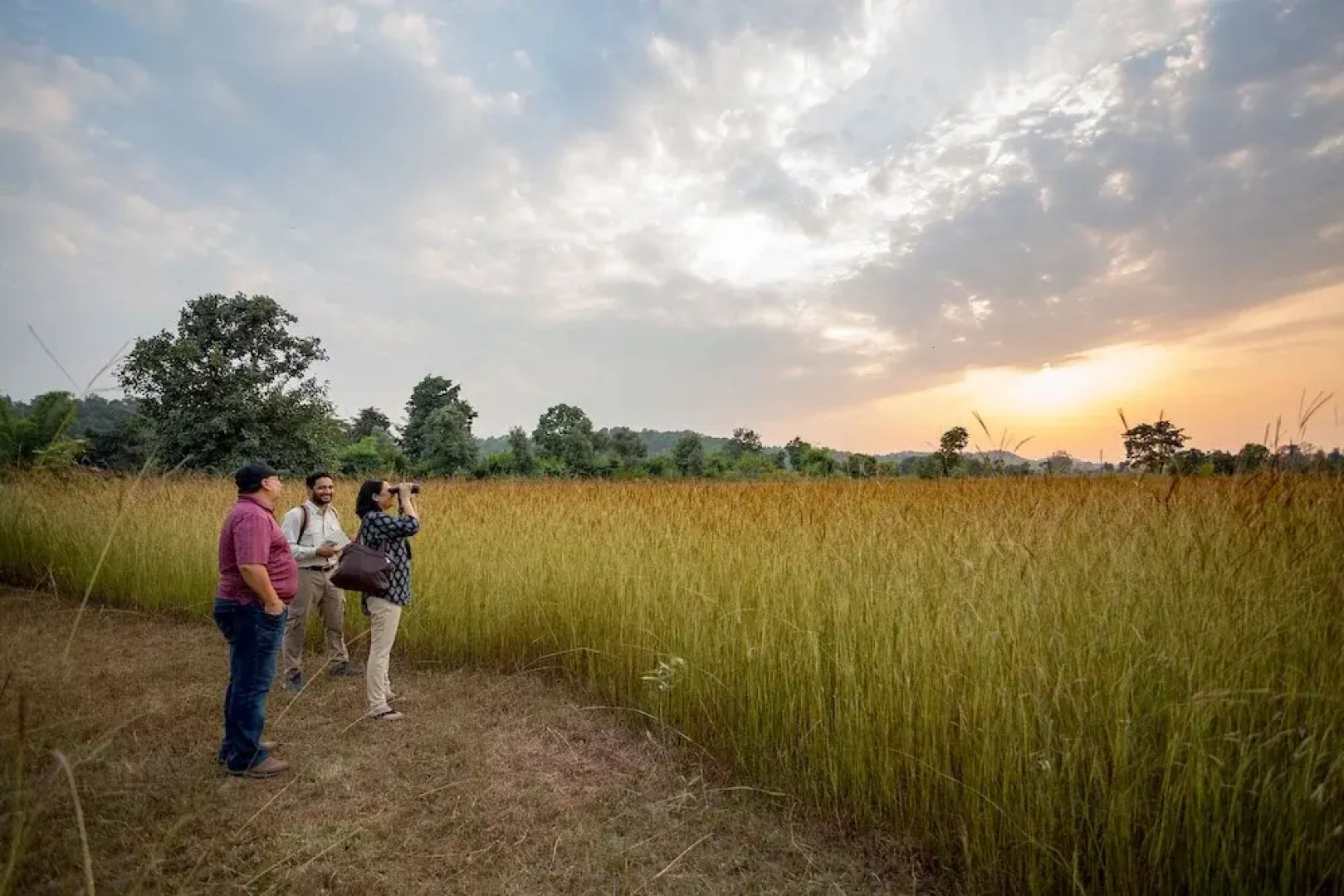 Pugdundee Safaris- Tree House Hideaway