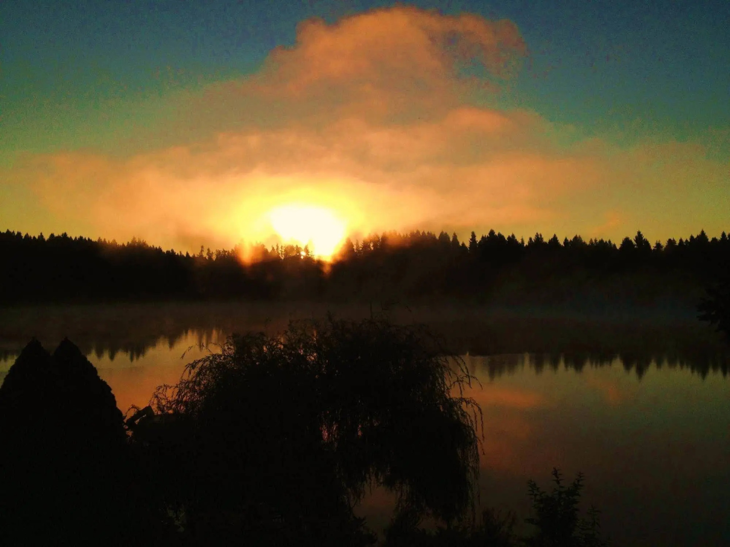 Cottage Lake Bed and Breakfast
