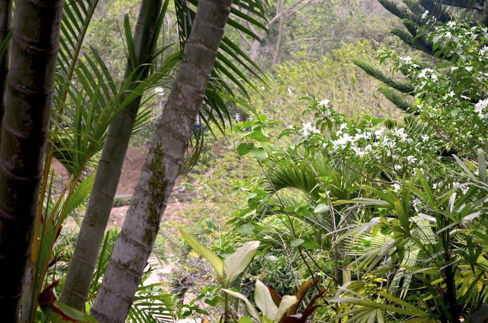 Posadas Ecoturisticas San Rafael