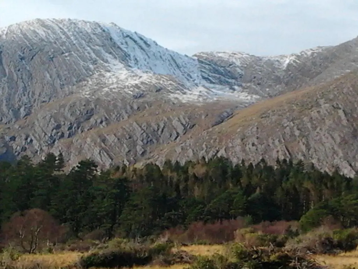 Westland Apartment No. 1