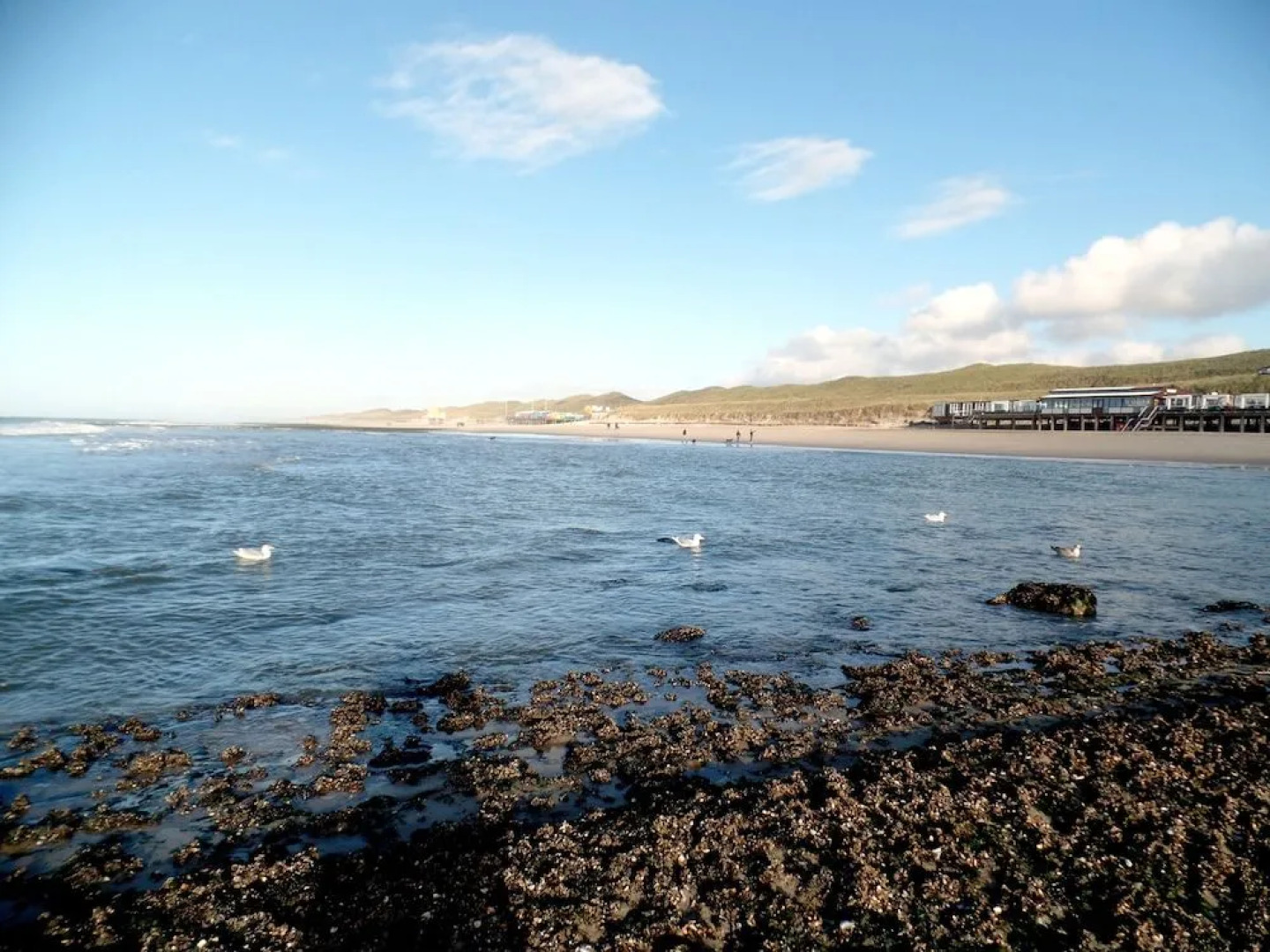 Bed en Breakfast De Pauw