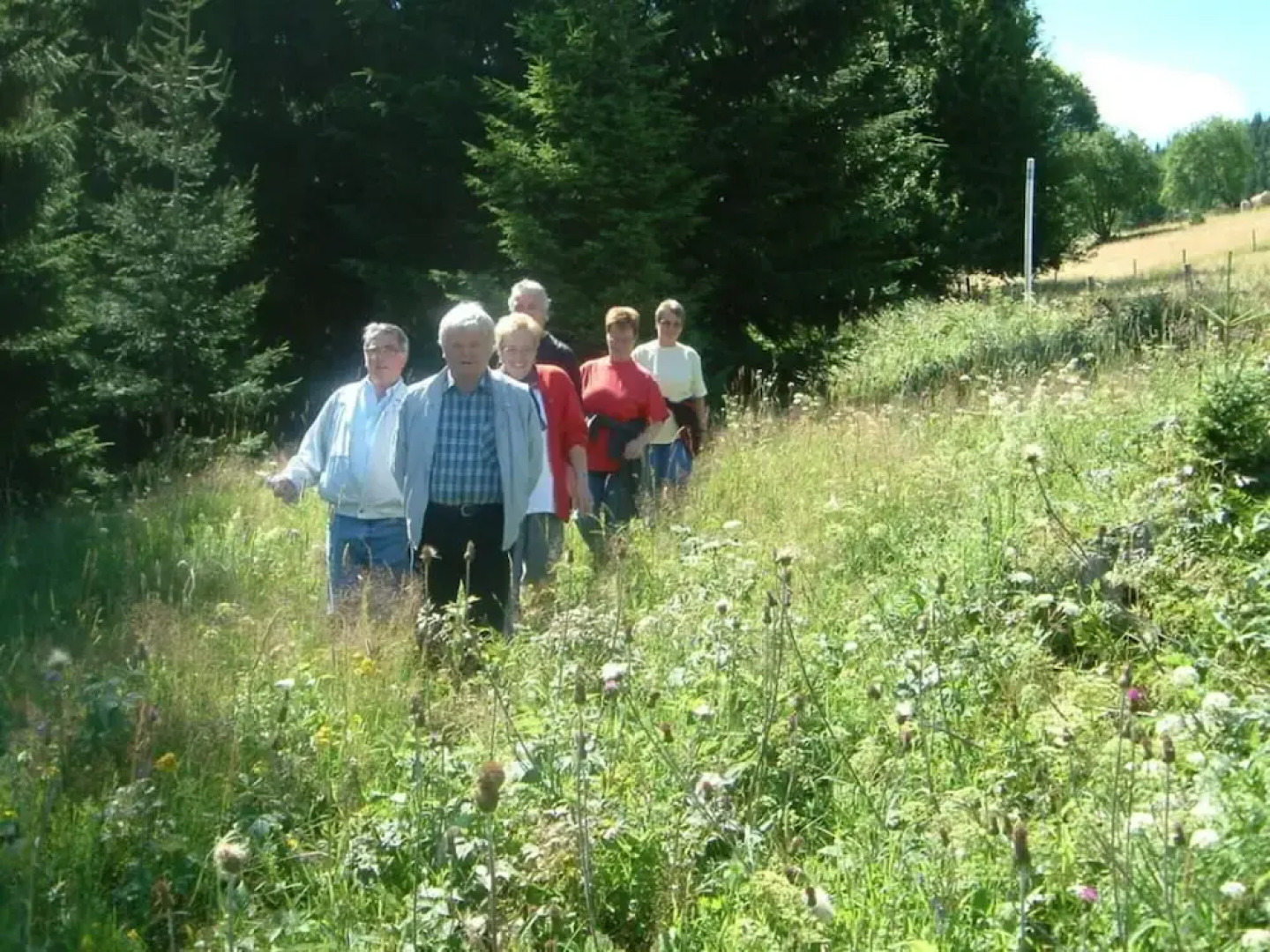 Nesterl Modern Retreat