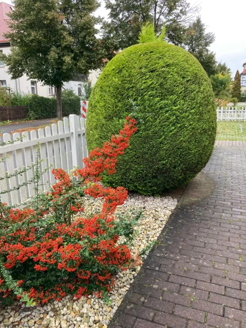 Simply Good Appartment