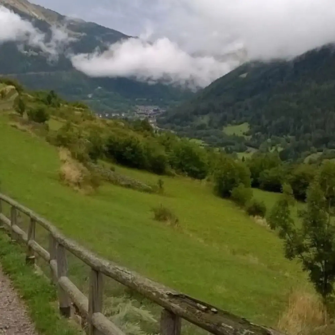 Woodpecker s Chalet in Tem