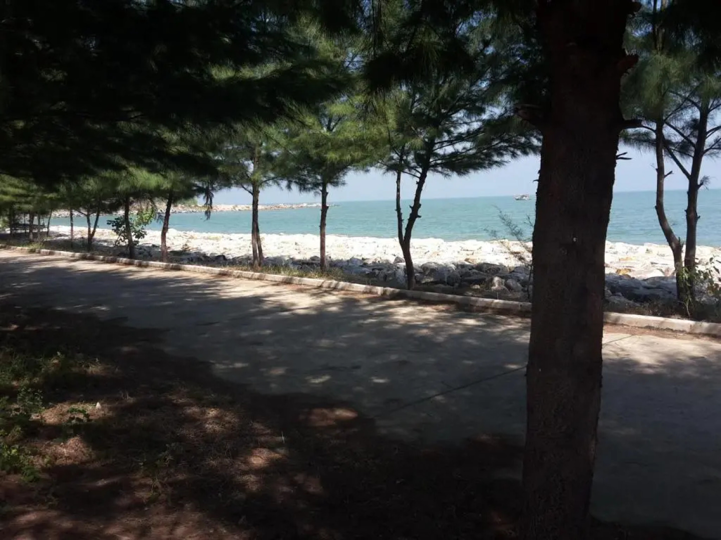 The Sea Condominium 267/50