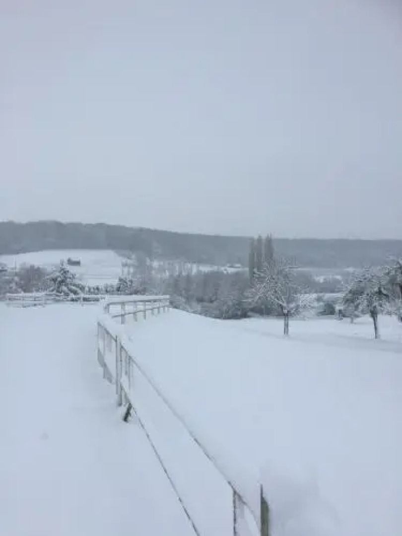 Chambre d'hôte la Roseraie