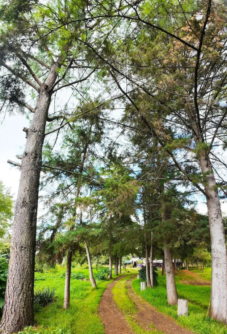 Villa Patzcuaro Garden Hotel & RV Park