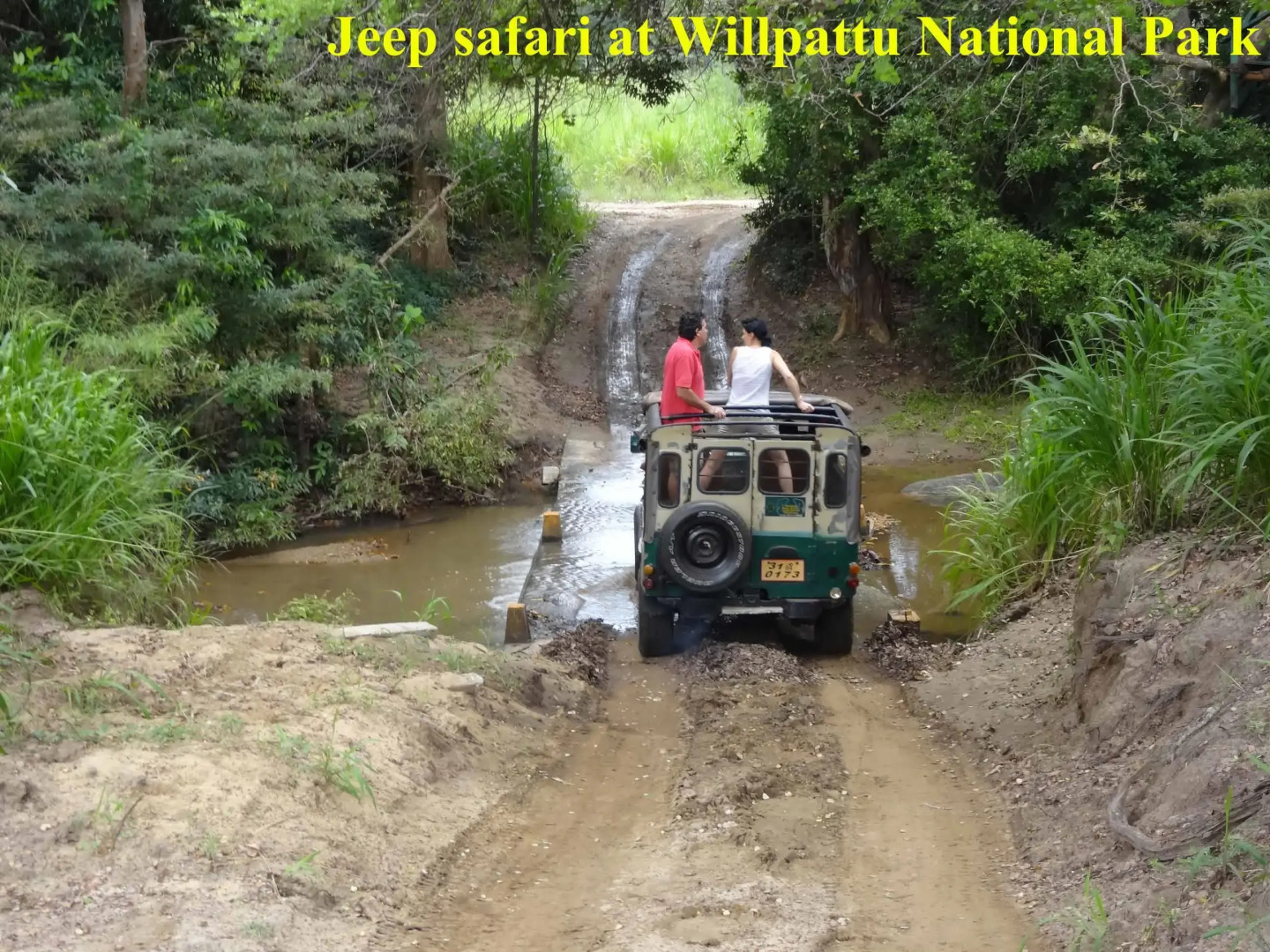 Five Trees Beach Resort Hotel