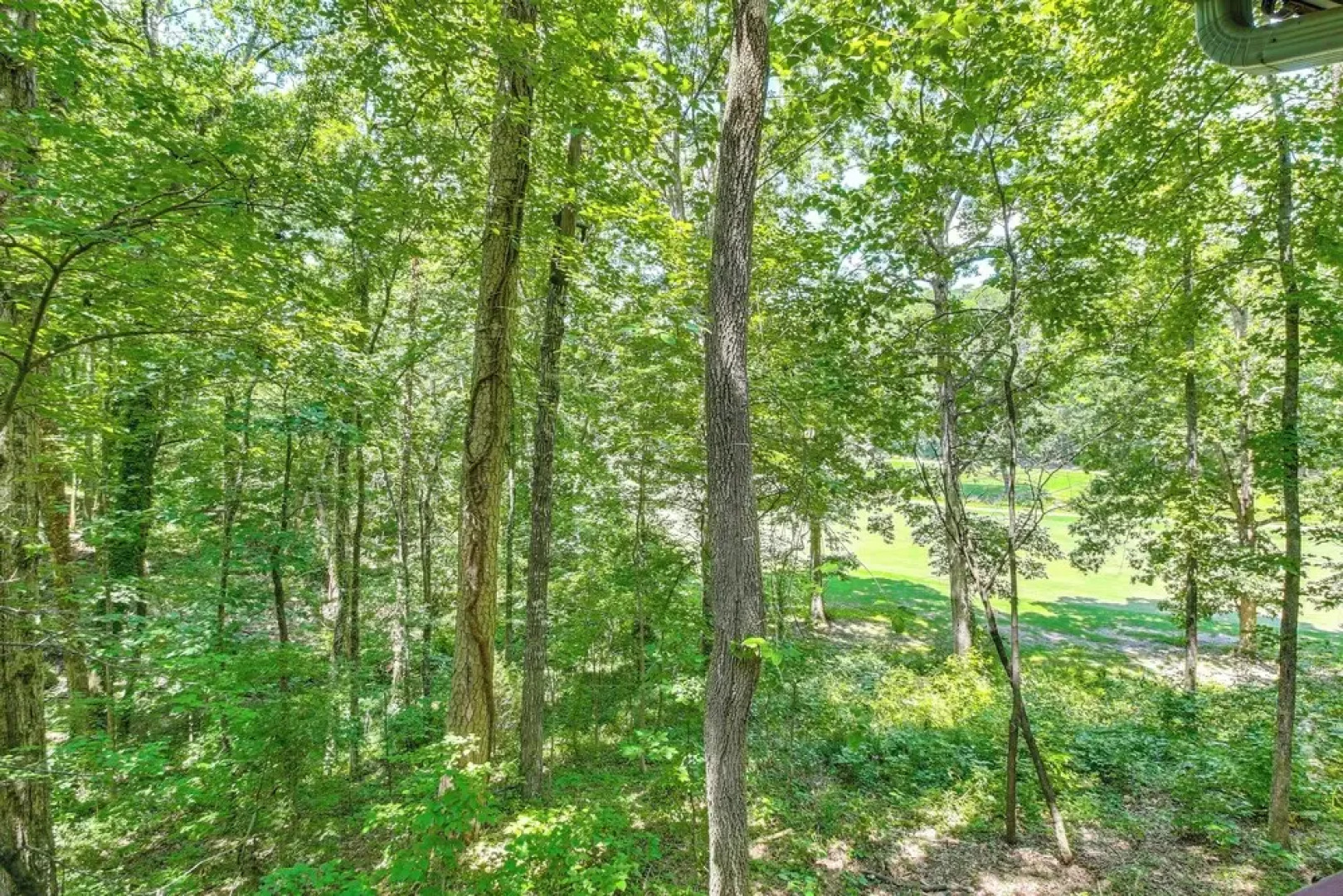 Golf Getaway w/ 9 Courses + Walk to Lake Desoto