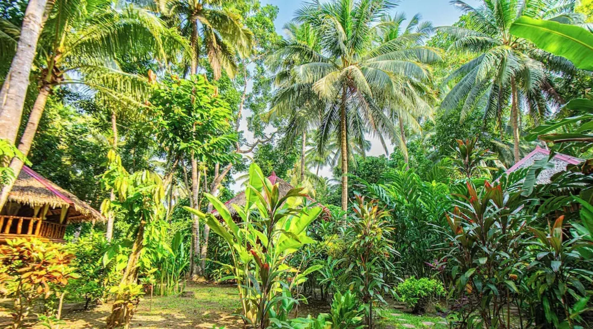 Water To Forest Ecolodge