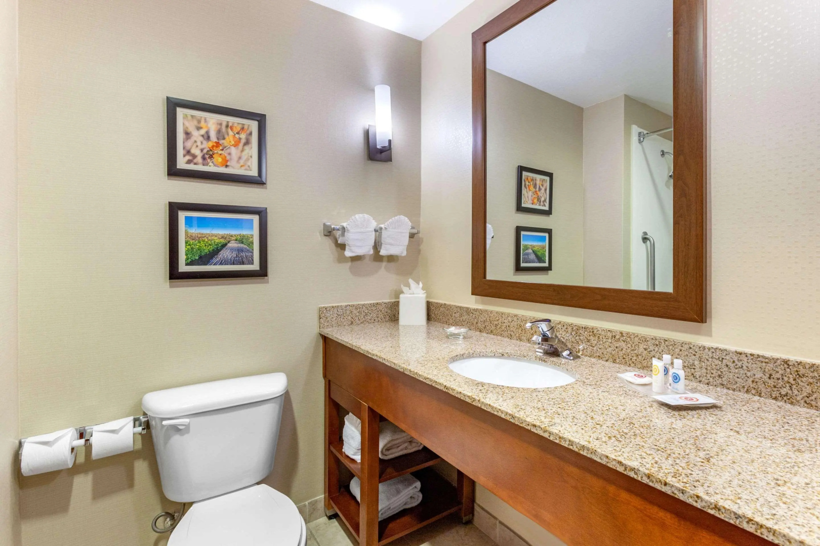 Comfort Suites Glendale - State Farm Stadium Area