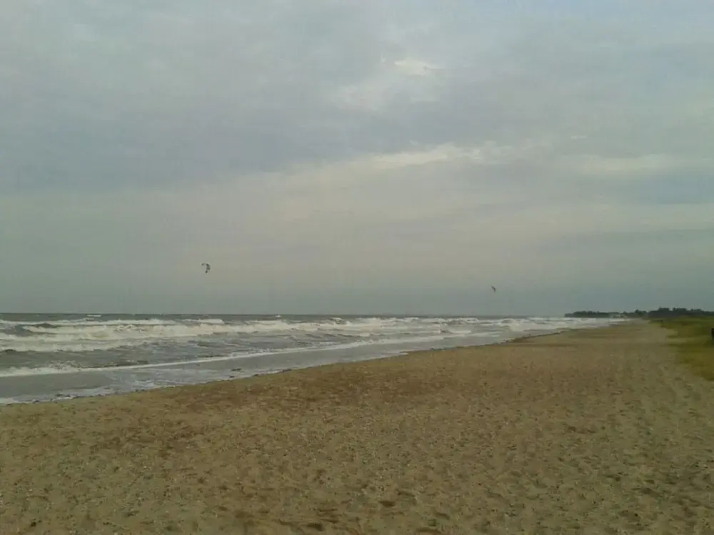 Huus Schippe "stockholm"