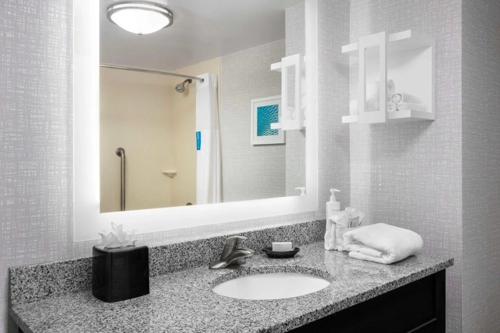 Hampton Inn & Suites Birmingham/280 East-Eagle Point