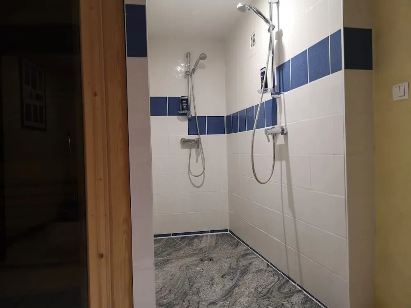 Magnifique Loft Alsacien - Sauna