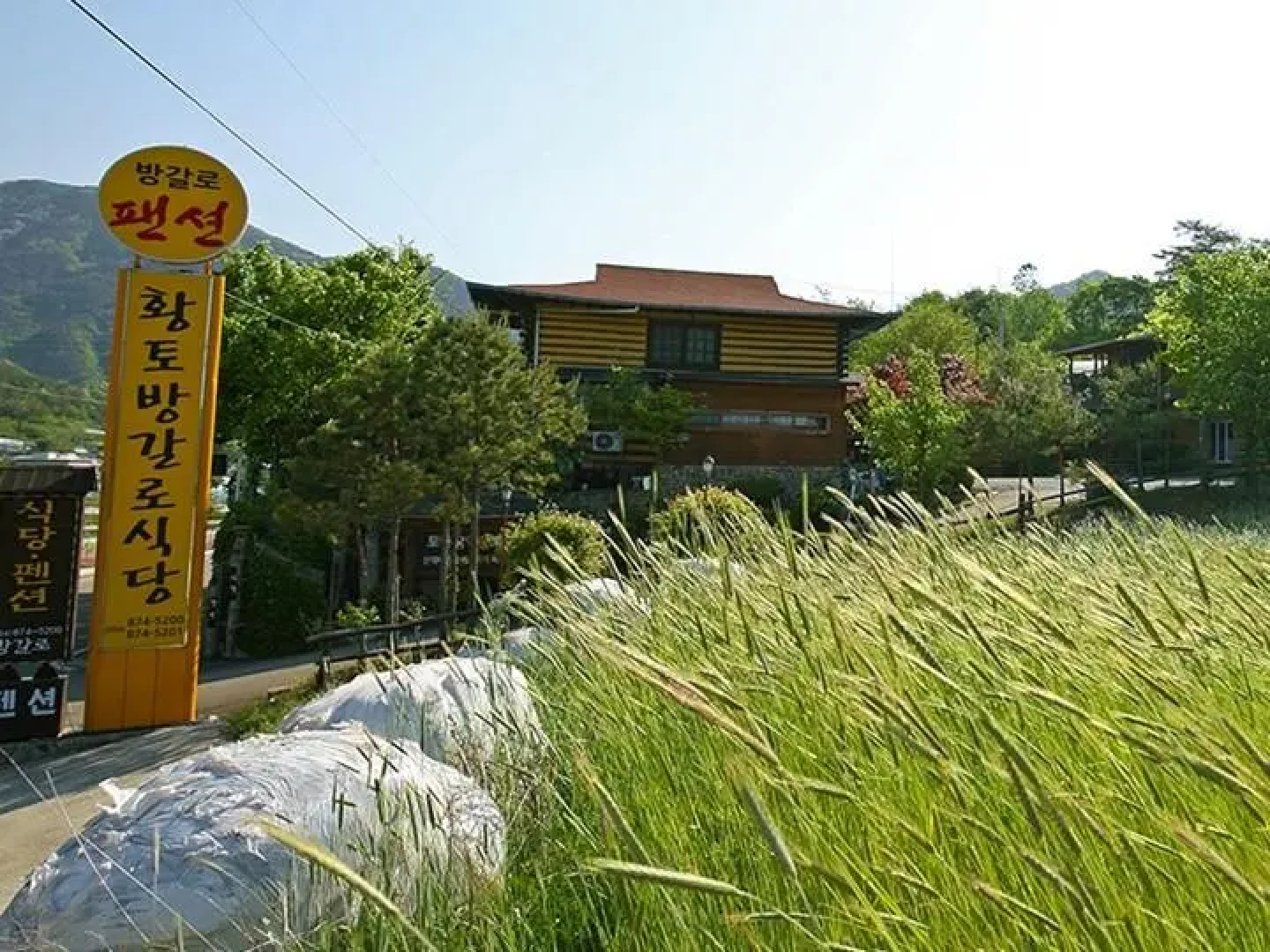 Hwangto Bangalo Pension