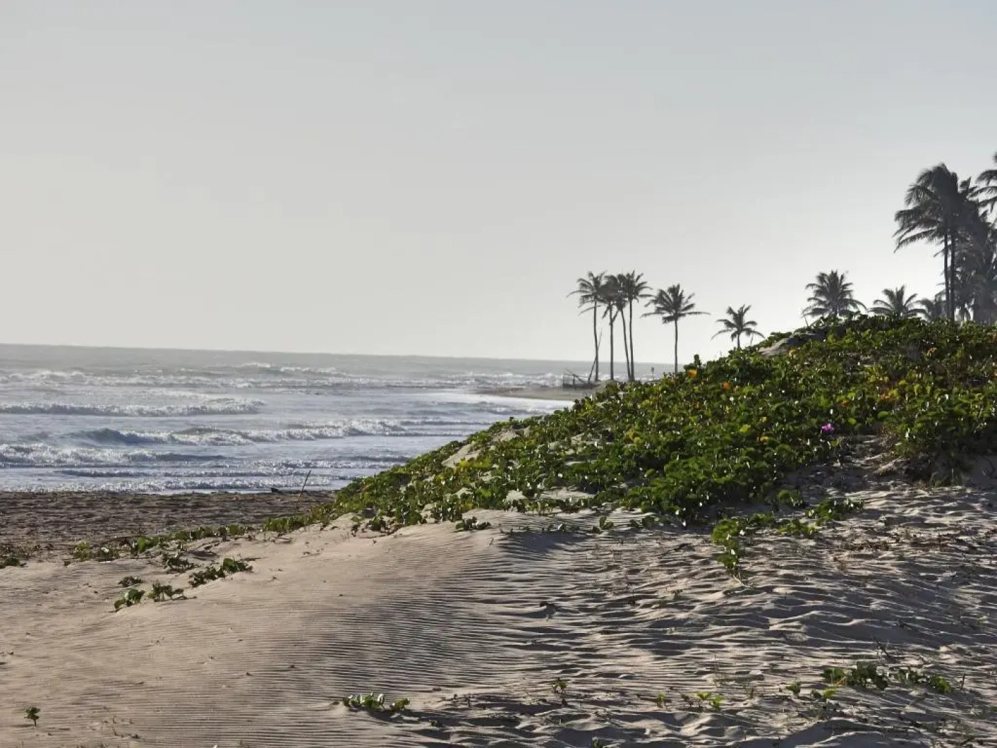 Pousada Vila Vagalume