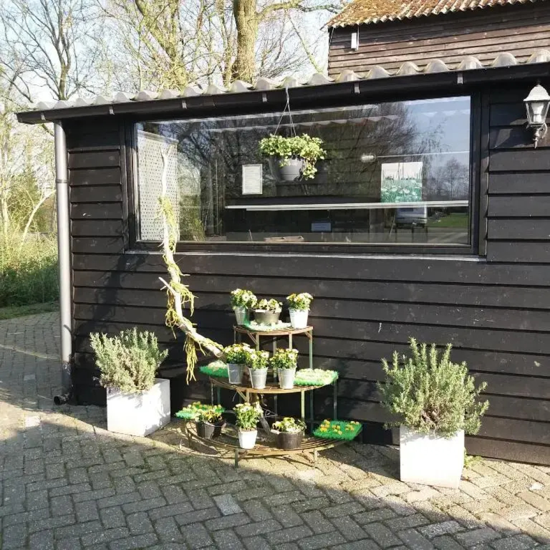 Stoere Safaritent