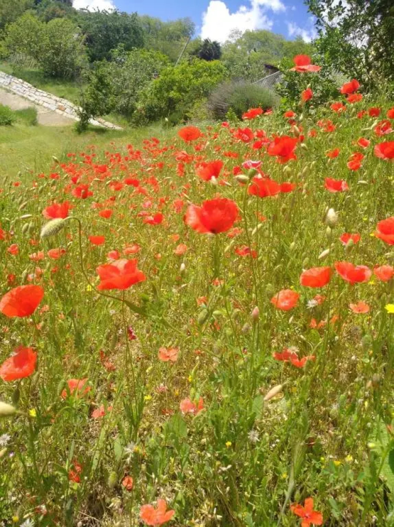Borgo San Rocco Piemonte