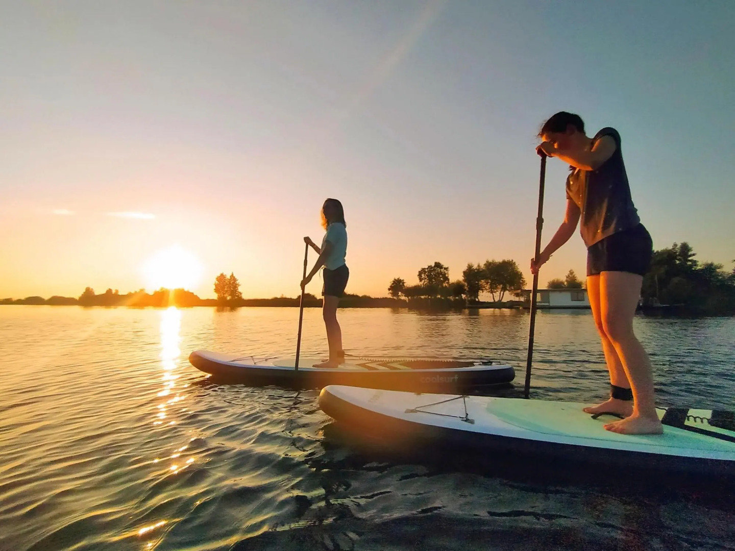 Chalet in Friesland Near Nature Reserves
