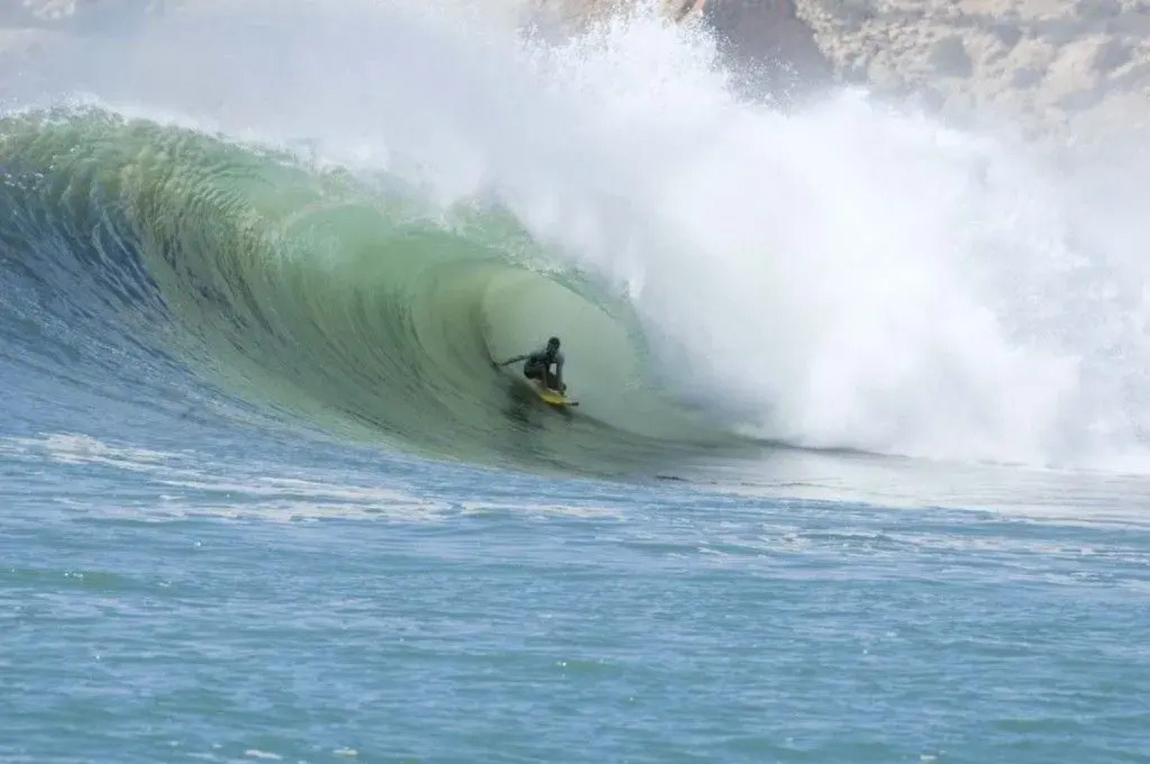 L'Arganier Solitaire