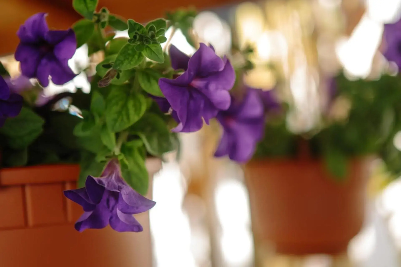 Sea Breeze 2 Apartments