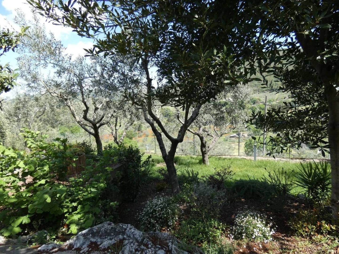 Scappo In Umbria, La Casa Di Giuliana