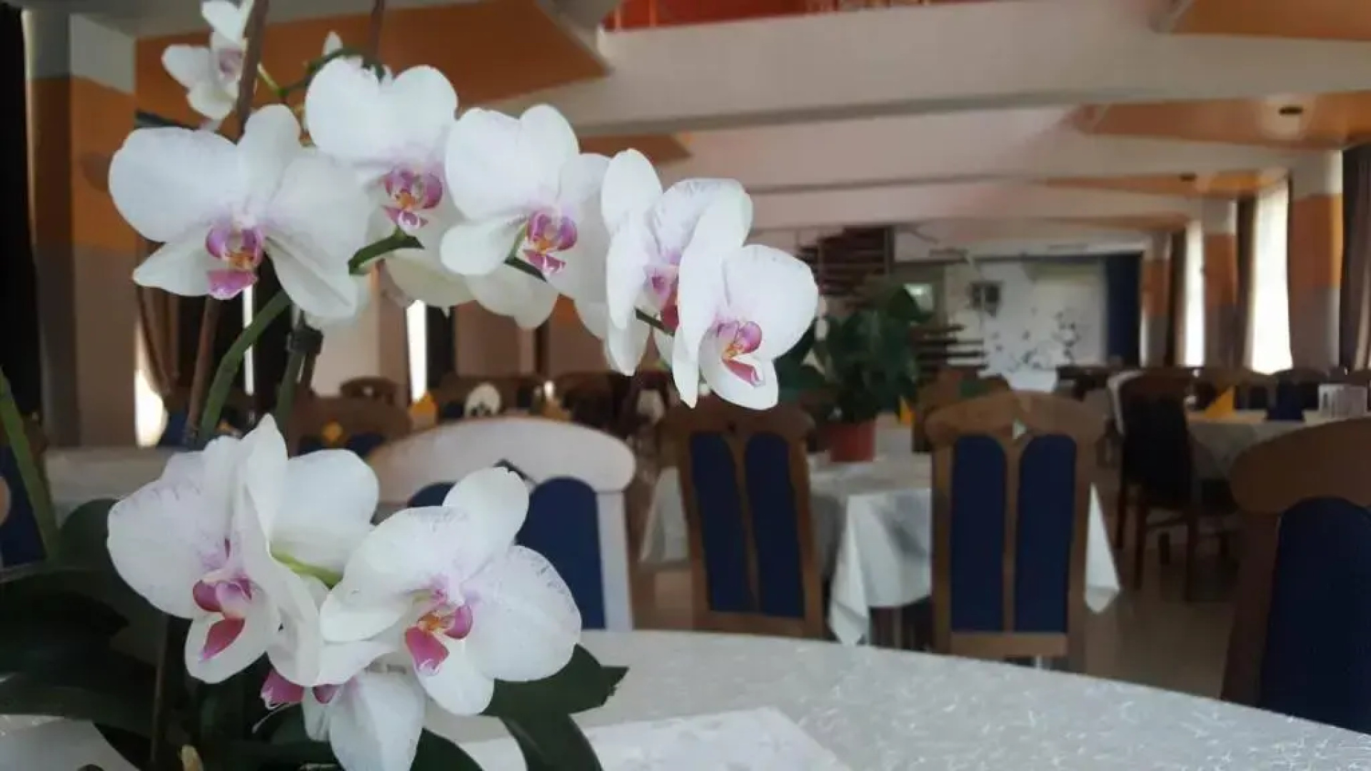 Motel Blue River Calimanesti