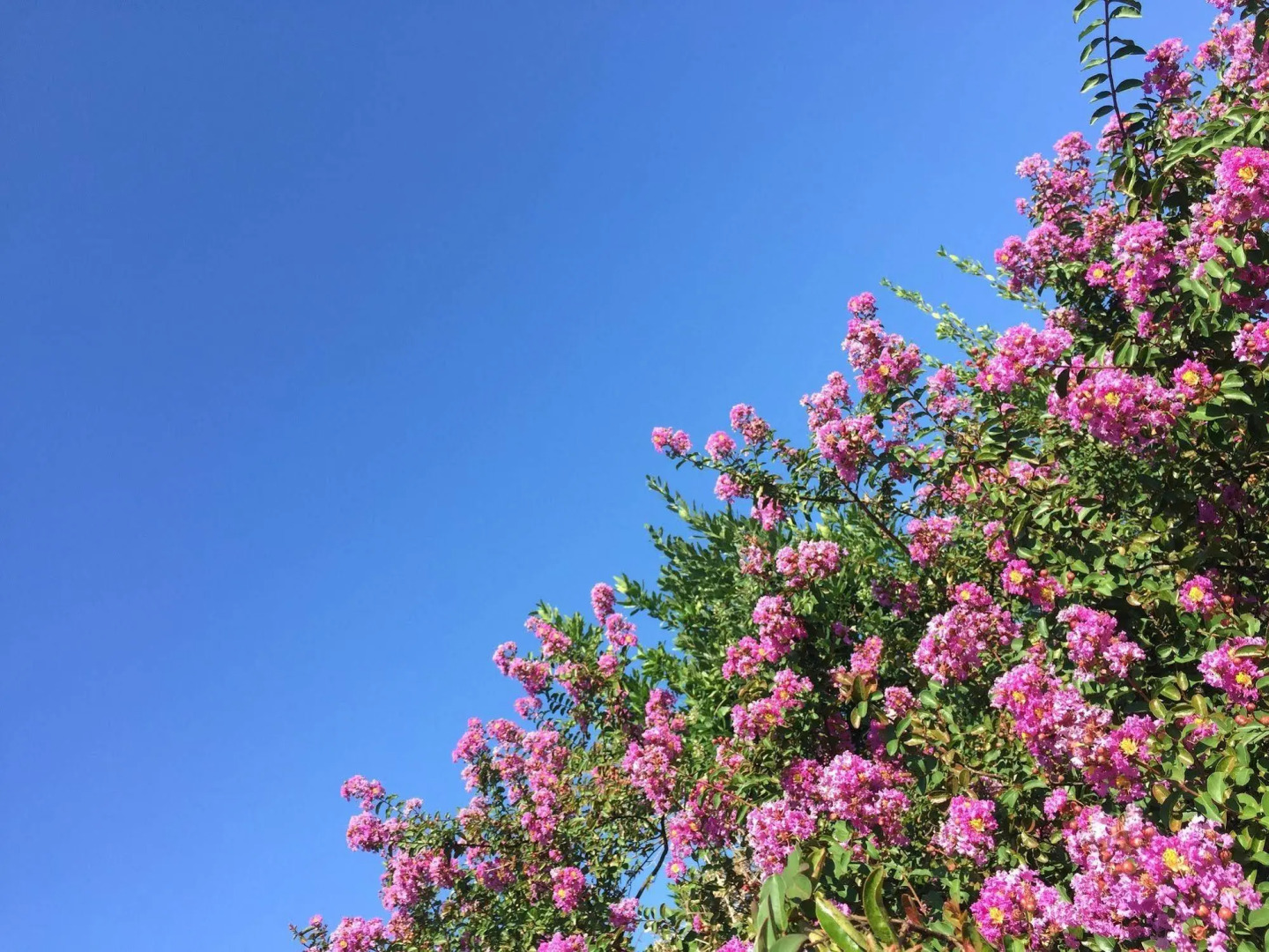 Il Fortino Mini Suites