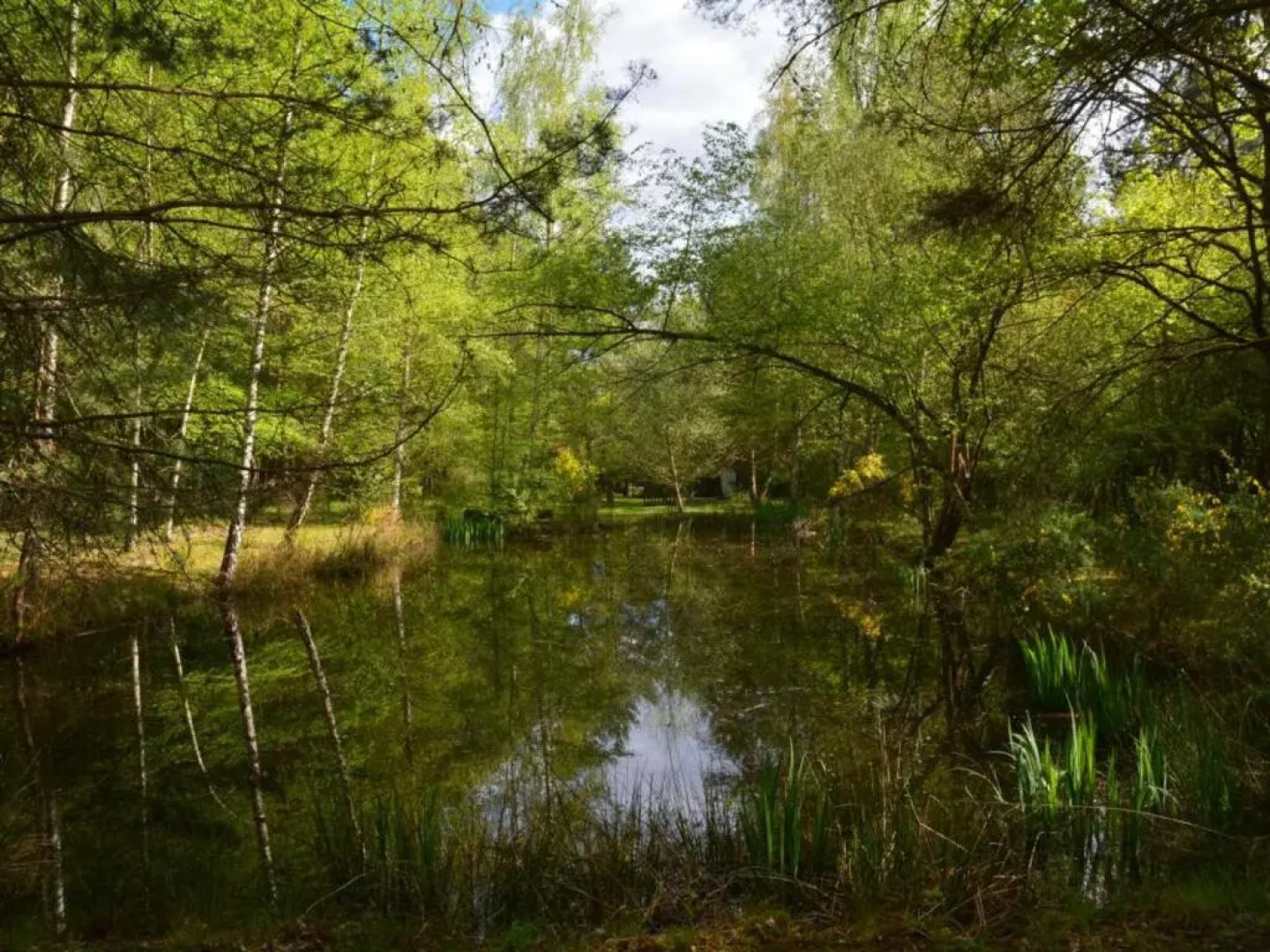 Gîte Mont-prés-Chambord, 4 pièces, 7 personnes - FR-1-491-43