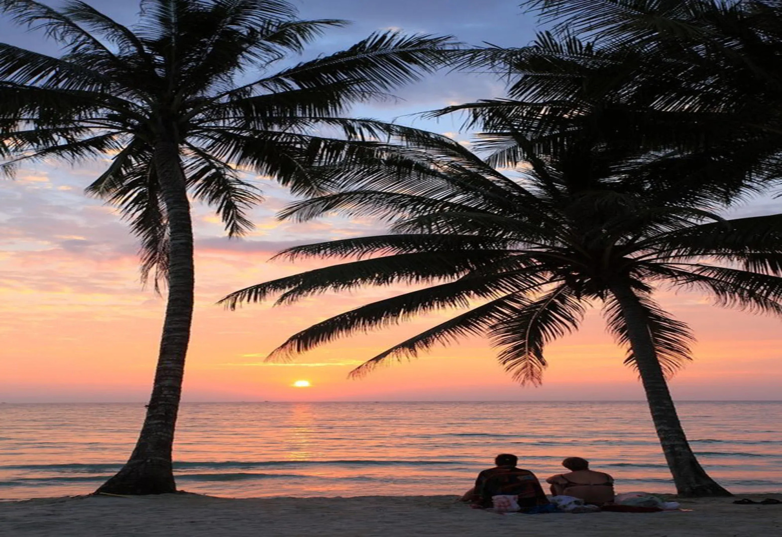 Wendy The Pool Resort