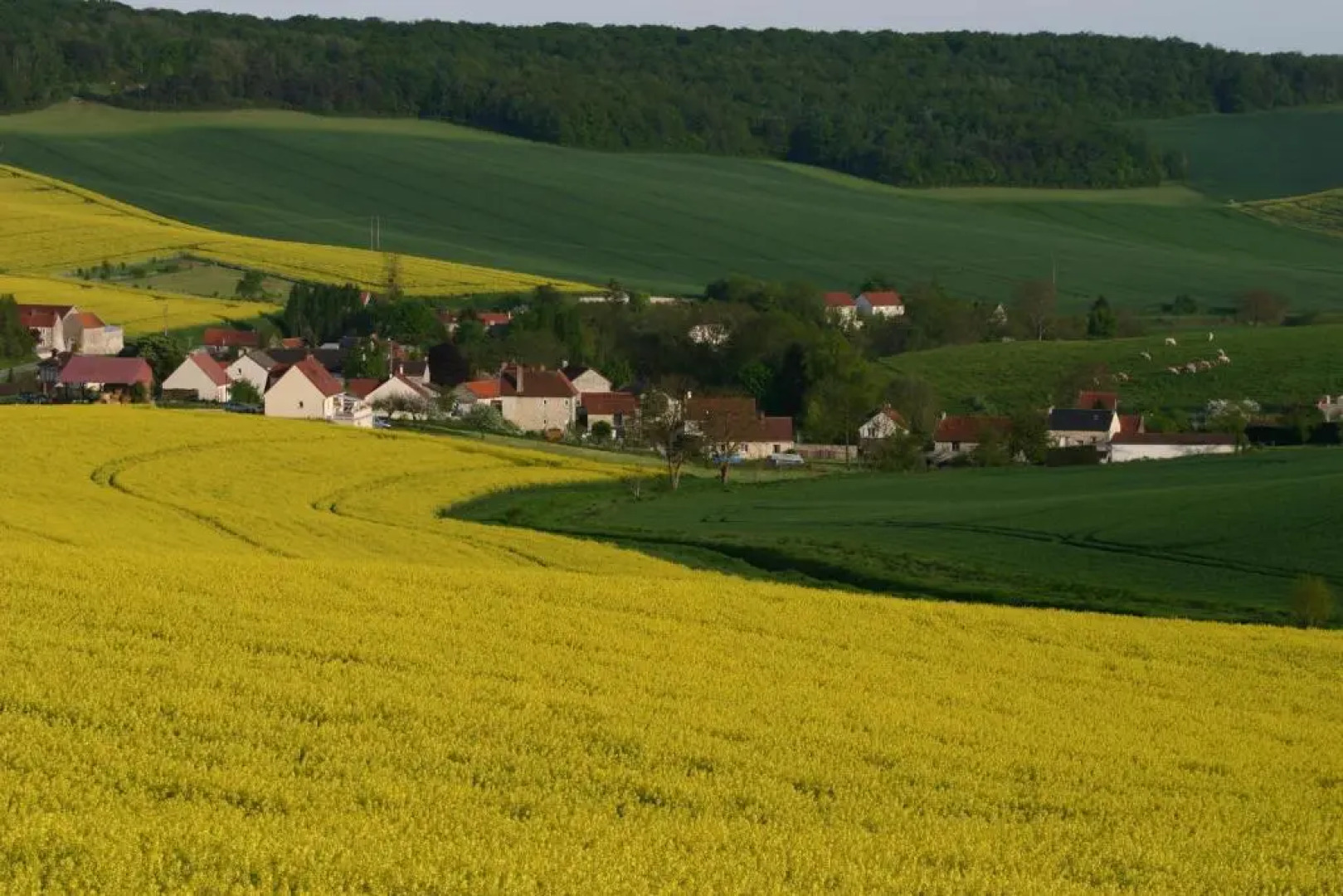 La Fermette Champenoise