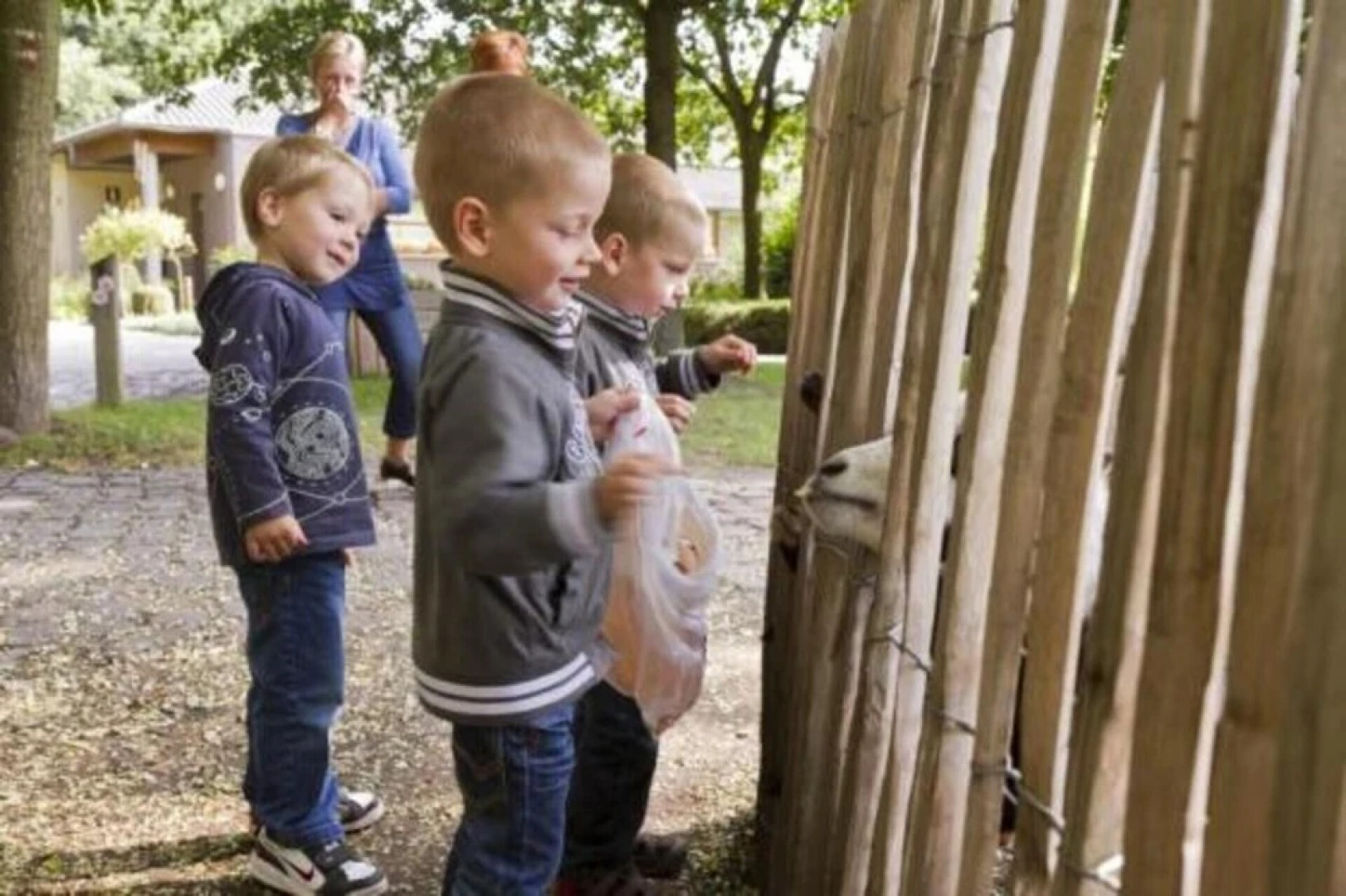 Beautiful Chalet Next to Forest Nature Preserve