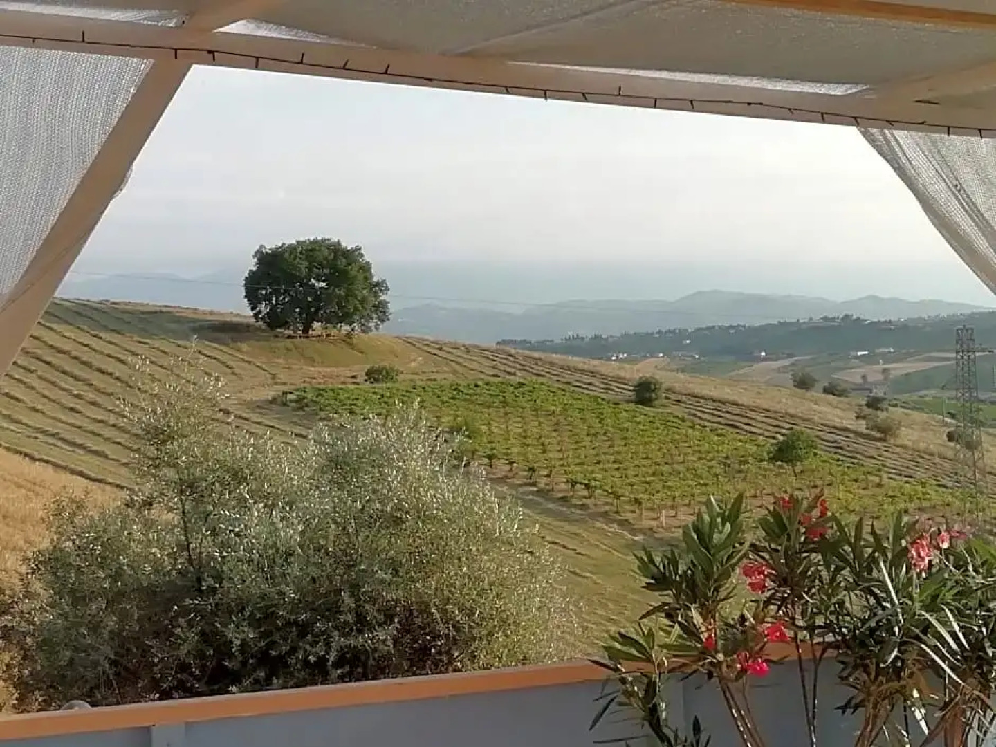 B&B Gli amici del tubarello