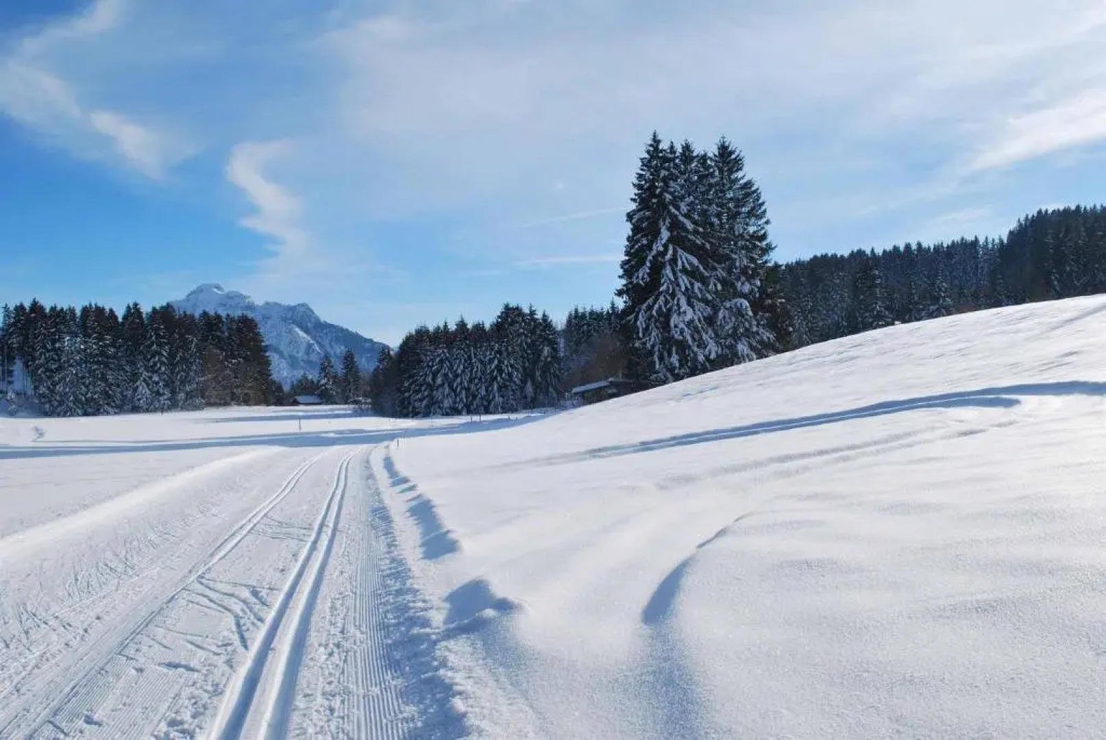 Ruheoase am Forggensee