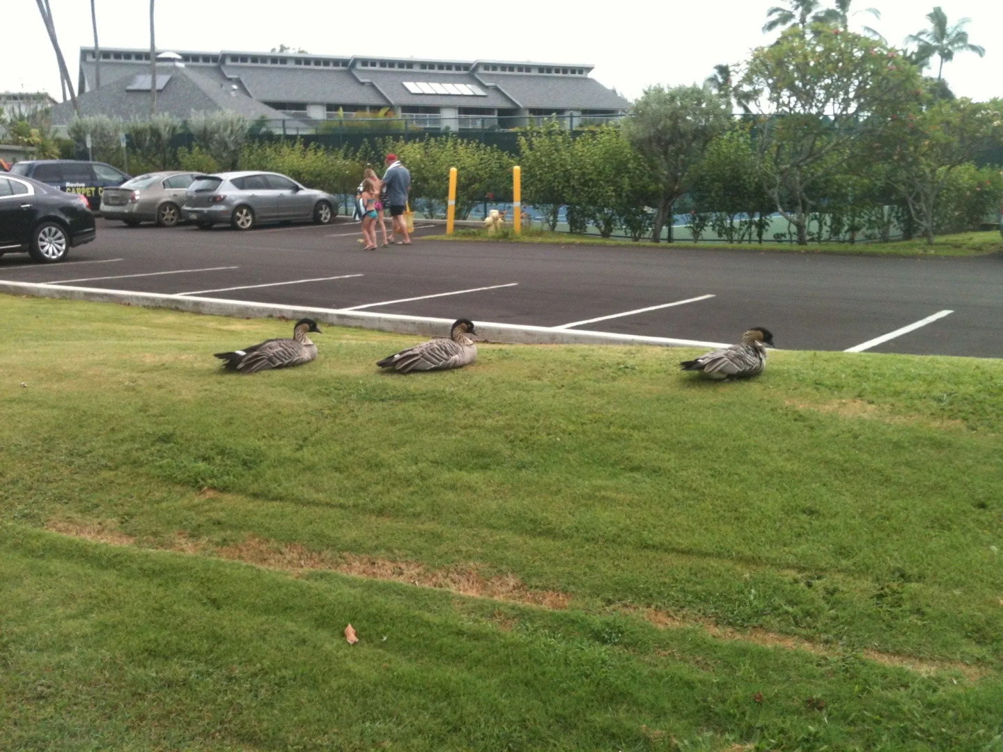 The Cliffs at Princeville