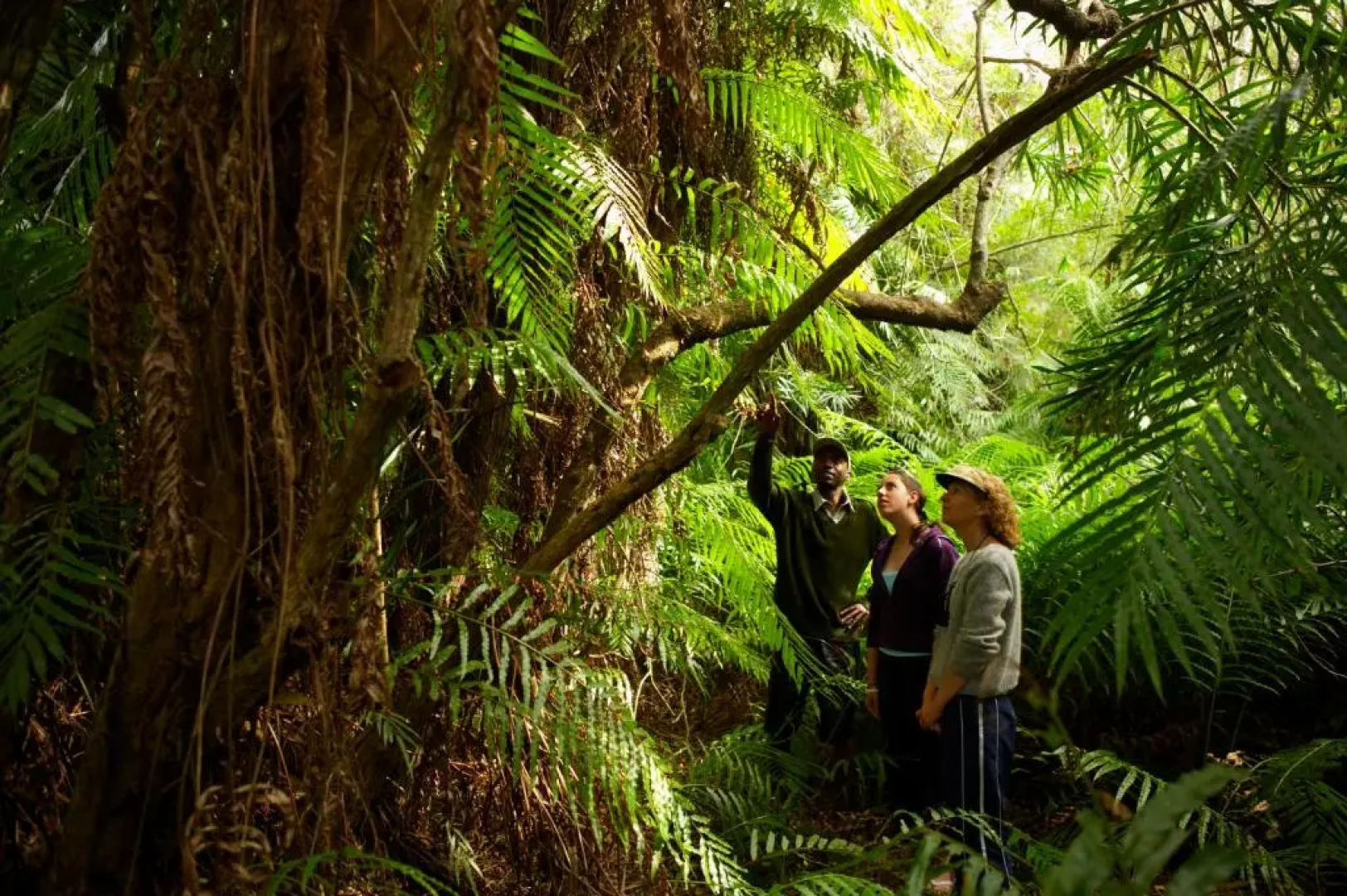 Kosi Forest Lodge
