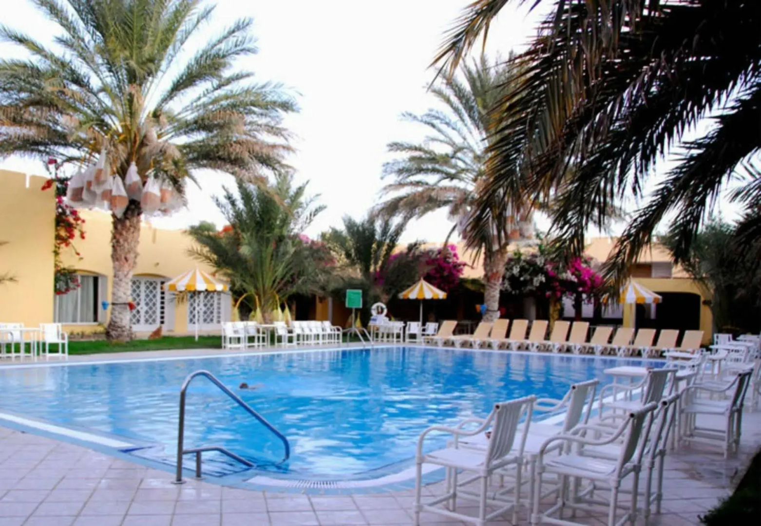 Sun Palm Douz