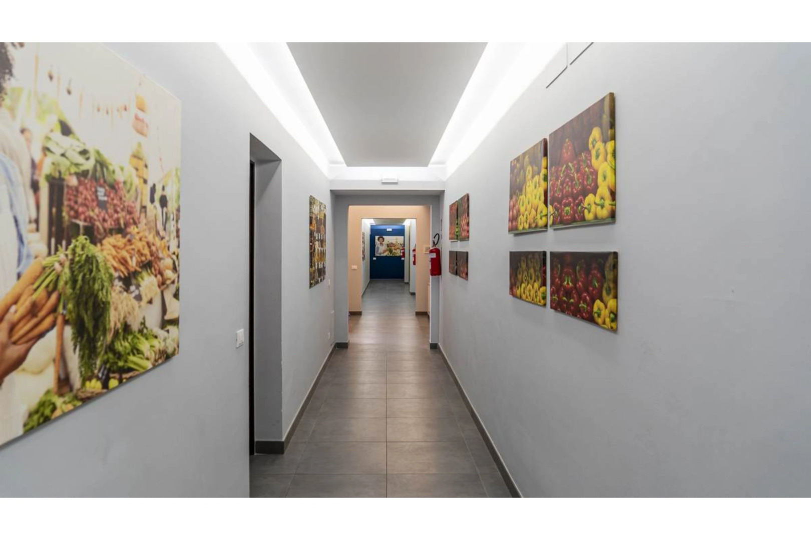 Palazzo dei Delfini 3