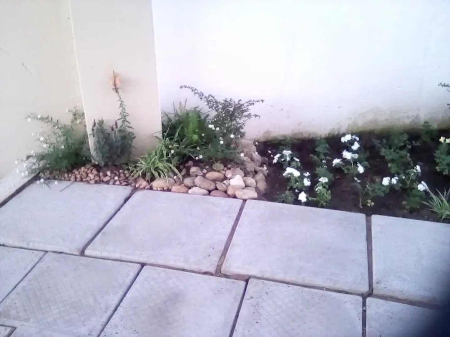 Jurdinee Guest House