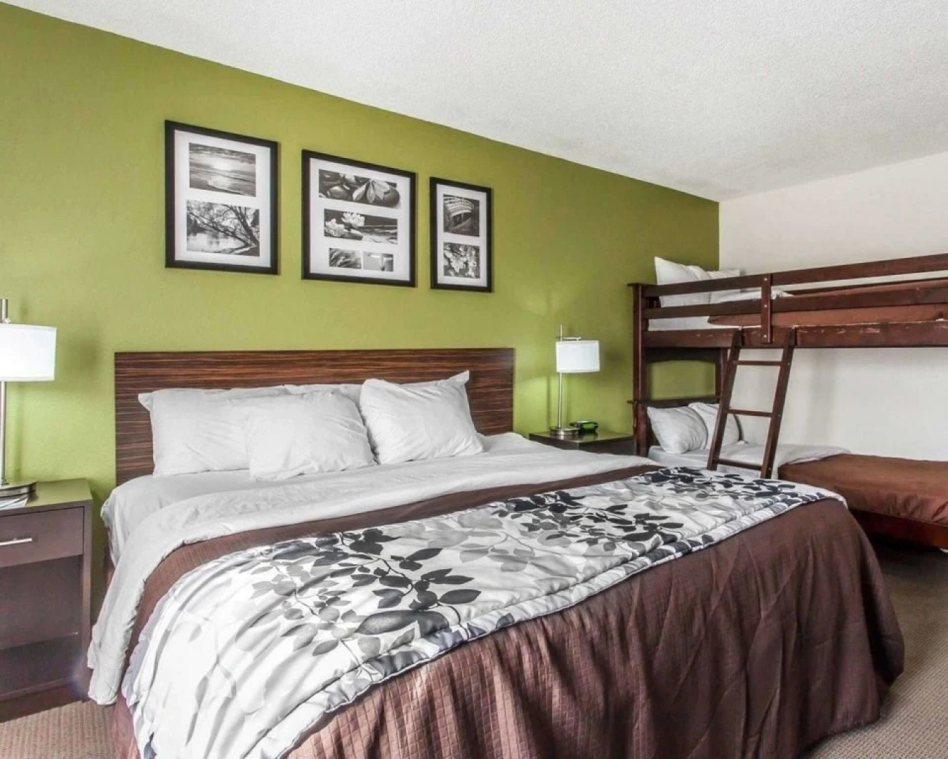 Sleep Inn And Suites Austinburg