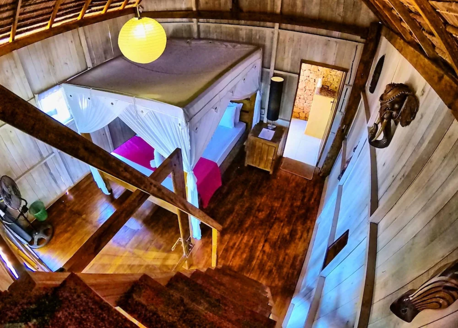 Cosmos Bungalows