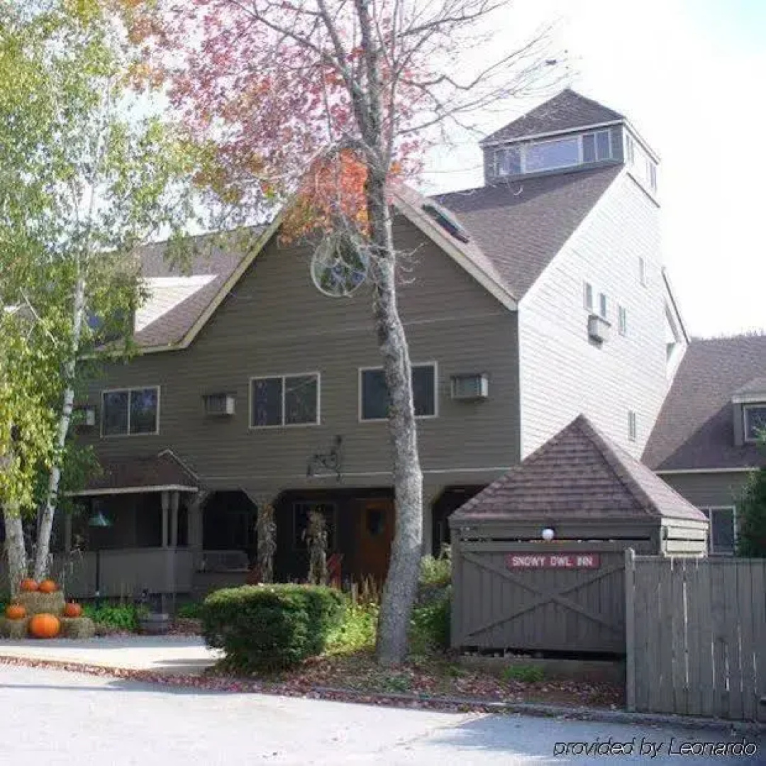 Snowy Owl Inn And Resort